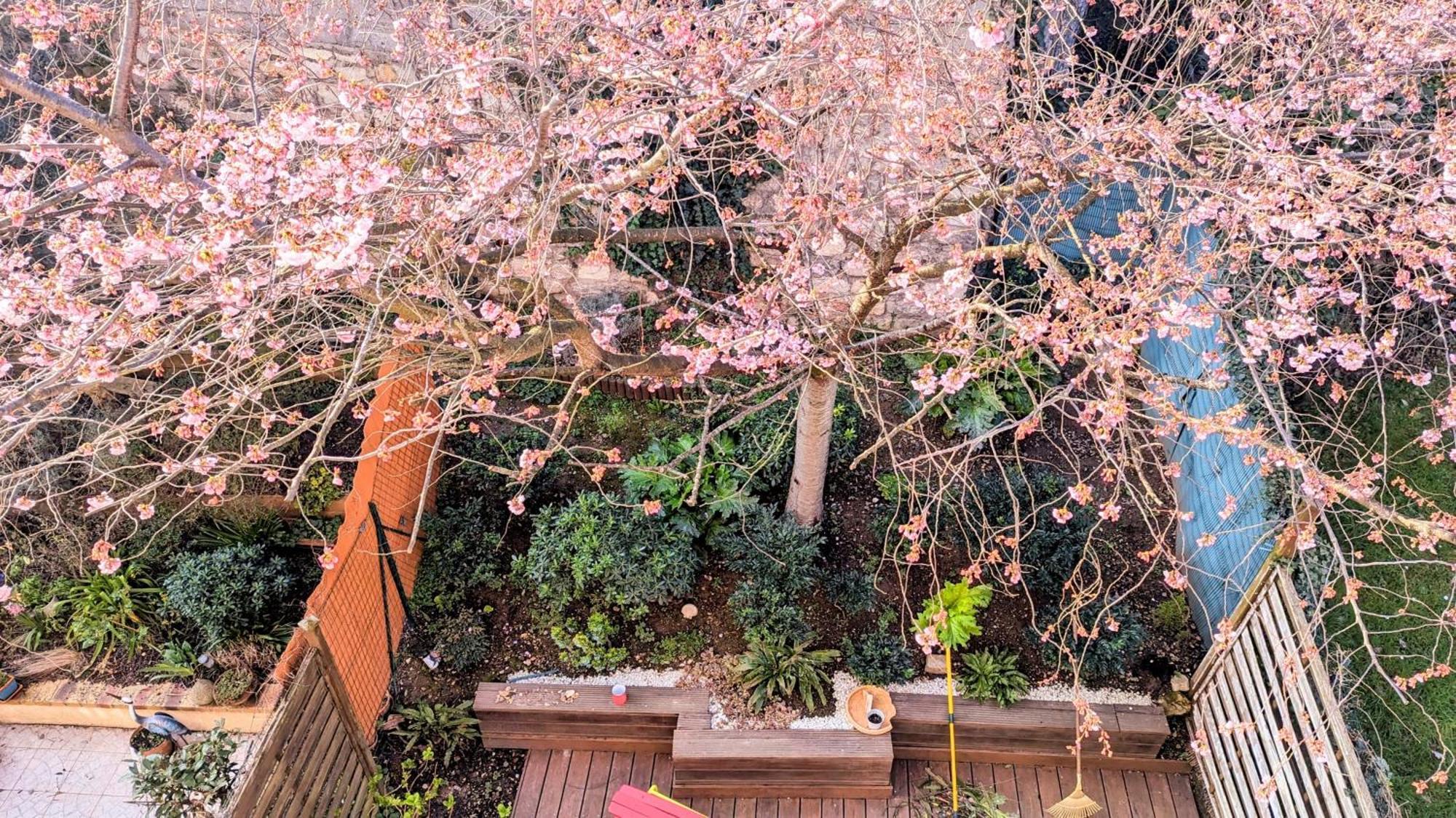 Maison Avec Jardin Au Sud De Paris Διαμέρισμα Gentilly Εξωτερικό φωτογραφία
